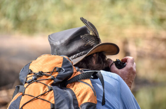 Essential Wildlife Photography Tips for Safari Travelers